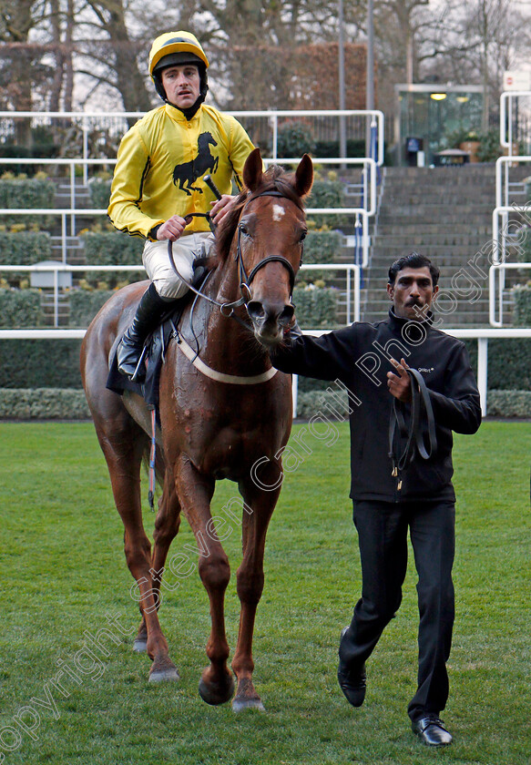 Buildmeupbuttercup-0008 
 BUILDMEUPBUTTERCUP (Brian Hughes) after The Millgate Mares Standard Open National Hunt Flat Race Ascot 17 Feb 2018 - Pic Steven Cargill / Racingfotos.com