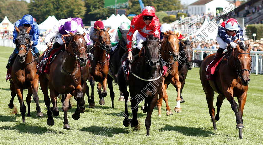 Sir-Dancealot-0001 
 SIR DANCEALOT (right, Gerald Mosse) beats SUEDOIS (centre) and BRETON ROCK (left) in The Qatar Lennox Stakes
Goodwood 31 Jul 2018 - Pic Steven Cargill / Racingfotos.com