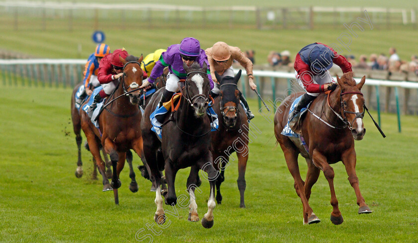 Ville-De-Grace-0003 
 VILLE DE GRACE (left, Richard Kingscote) beats LILAC ROAD (right) in The Newmarket Pony Academy Pride Stakes
Newmarket 8 Oct 2021 - Pic Steven Cargill / Racingfotos.com