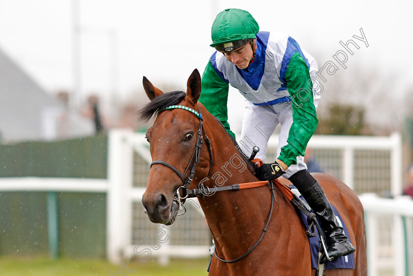 Magical-Sight-0001 
 MAGICAL SIGHT (James Doyle) Yarmouth 24 Apr 2018 - Pic Steven Cargill / Racingfotos.com