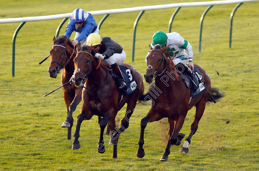 Ginistrelli-0003 
 GINISTRELLI (centre, Gerald Mosse) beats JAMES PARK WOODS (right) and FAYLAQ (left) in The British EBF Novice Stakes
Newmarket 24 Oct 2018 - Pic Steven Cargill / Racingfotos.com