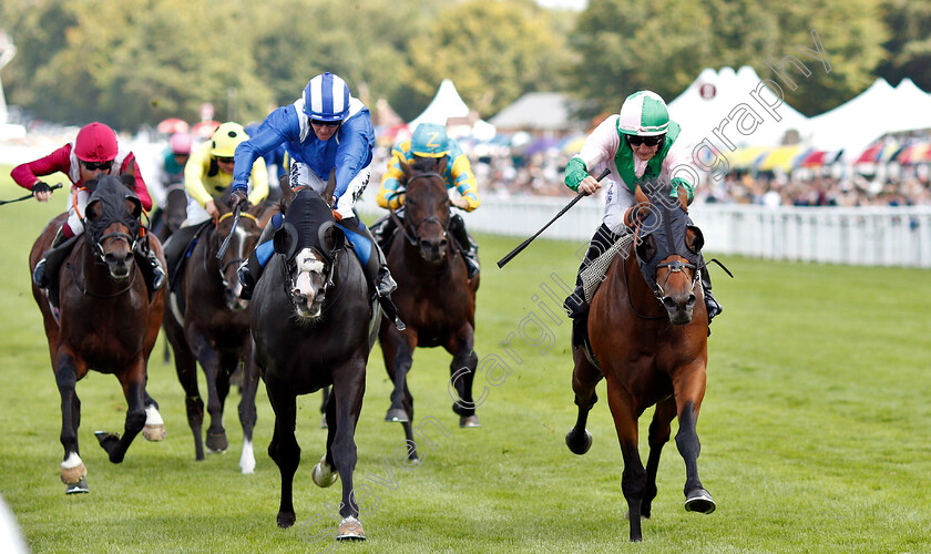 Duke-Of-Hazzard-0002 
 DUKE OF HAZZARD (right, P J McDonald) beats TURJOMAAN (left) in The Bonhams Thoroughbred Stakes
Goodwood 2 Aug 2019 - Pic Steven Cargill / Racingfotos.com