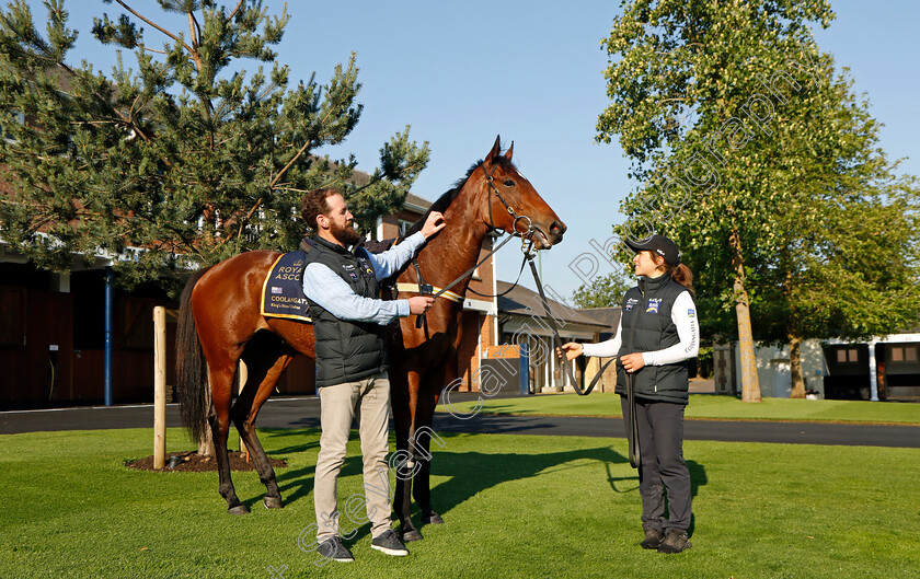 Coolangatta-0018 
 COOLANGATTA with Ciaron Maher, preparing for Royal Ascot
Ascot 14 Jun 2023 - Pic Steven Cargill / Racingfotos.com