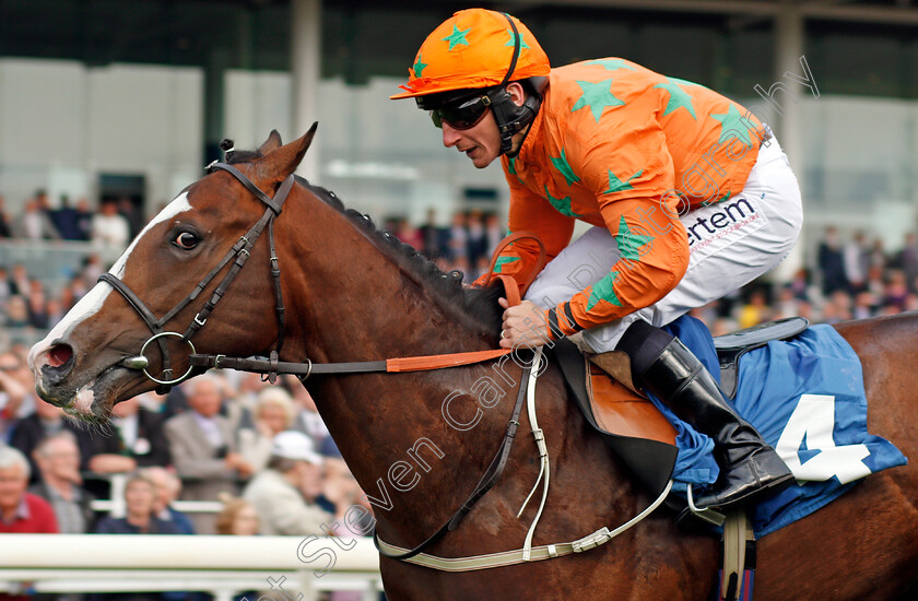 I-Am-A-Dreamer-0007 
 I AM A DREAMER (P J McDonald) wins The Stratford Place Stud Breeds Group Winners Ebfstallions.com Maiden Stakes York 17 May 2018 - Pic Steven Cargill / Racingfotos.com