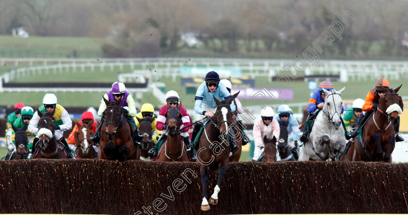 Crievehill-0001 
 CRIEVEHILL (Zac Baker)
Cheltenham 14 Mar 2019 - Pic Steven Cargill / Racingfotos.com