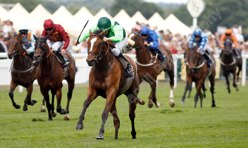 Settle-For-Bay-0003 
 SETTLE FOR BAY (Billy Lee) wins The Royal Hunt Cup
Royal Ascot 20 Jun 2018 - Pic Steven Cargill / Racingfotos.com