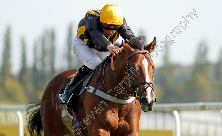 Whenthedealinsdone-0006 
 WHENTHEDEALINSDONE (Jason Watson) wins The British Stallion Studs EBF Maiden Stakes
Newbury 18 Sep 2020 - Pic Steven Cargill / Racingfotos.com