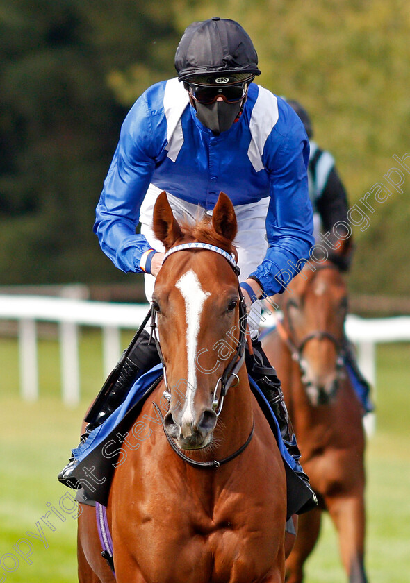 Mahaamel-0001 
 MAHAAMEL (James Doyle)
Salisbury 1 Oct 2020 - Pic Steven Cargill / Racingfotos.com