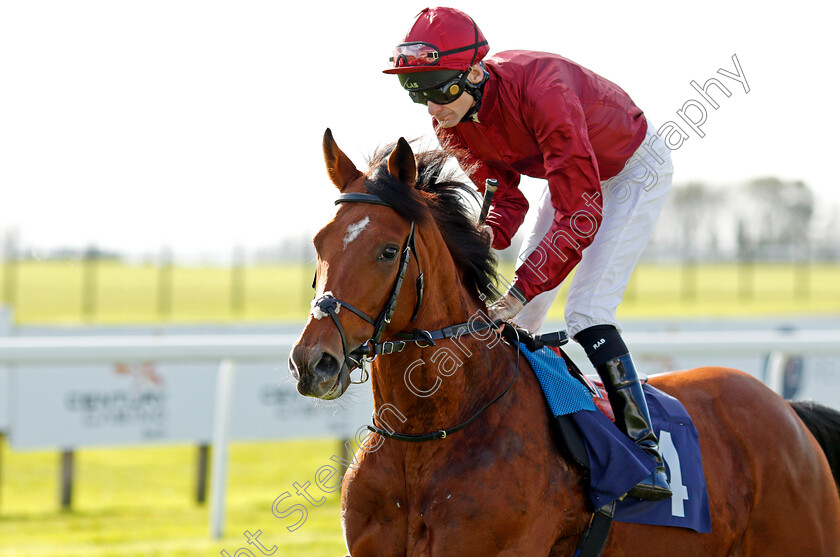 Herman-Hesse-0002 
 HERMAN HESSE (Robert Havlin)
Bath 16 Oct 2019 - Pic Steven Cargill / Racingfotos.com