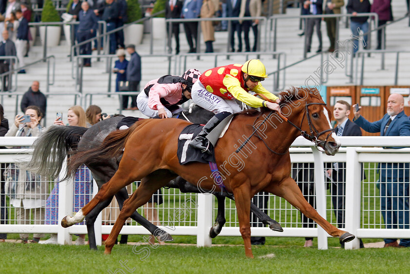 Celsius-0002 
 CELSIUS (Jack Mitchell) wins The Ascot Queen Anne Membership Handicap
Ascot 27 Apr 2022 - Pic Steven Cargill / Racingfotos.com