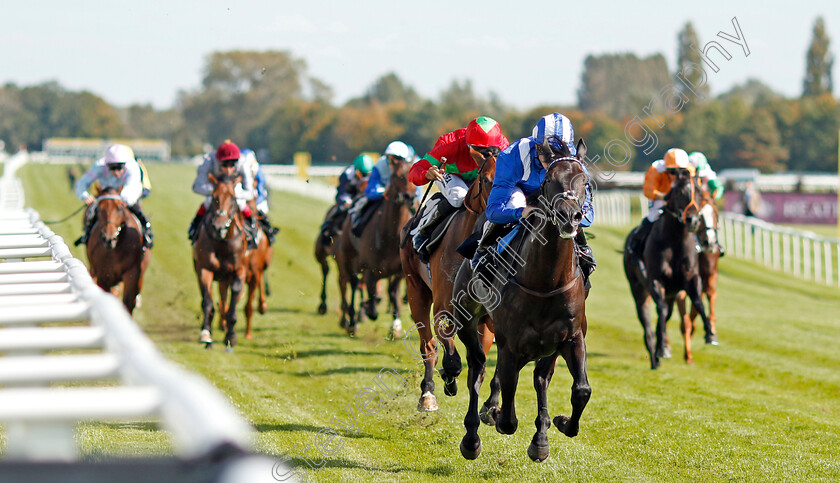 Emaraaty-0004 
 EMARAATY (Jim Crowley) wins The Wedgewood Estates EBF Novice Stakes Div2 Newbury 23 Sep 2017 - Pic Steven Cargill / Racingfotos.com