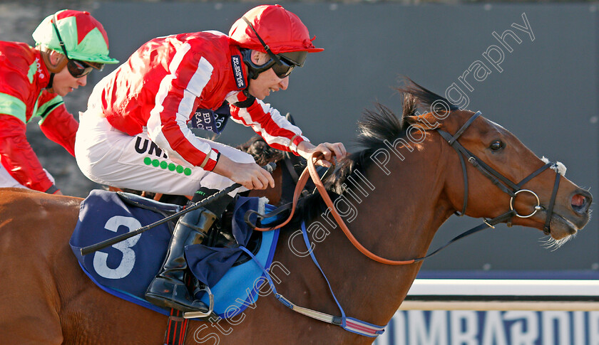 Toro-Dorado-0005 
 TORO DORADO (Luke Morris) wins The Bombardier Golden Beer Handicap
Lingfield 8 Feb 2020 - Pic Steven Cargill / Racingfotos.com