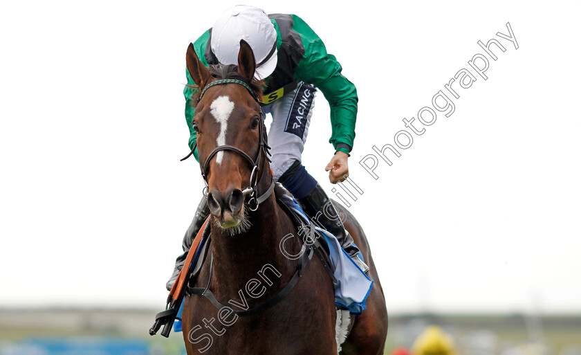 Limato-0007 
 LIMATO (Harry Bentley) wins The Godolphin Stud And Stable Staff Awards Challenge Stakes Newmarket 13 Oct 2017 - Pic Steven Cargill / Racingfotos.com