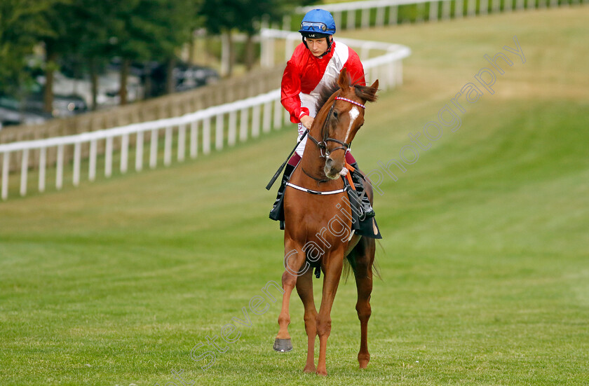 Ice-House-0002 
 ICE HOUSE (Cieren Fallon)
Newmarket 22 Jul 2022 - Pic Steven Cargill / Racingfotos.com