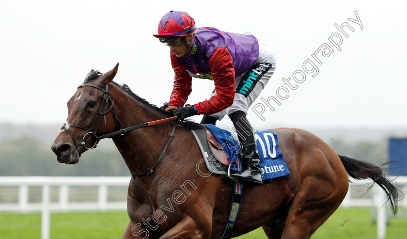 Di-Fede-0006 
 DI FEDE (Harry Bentley) wins The Neptune Investment Management British EBF October Stakes
Ascot 6 Oct 2018 - Pic Steven Cargill / Racingfotos.com