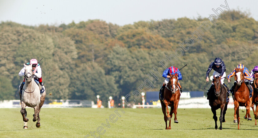 Logician-0011 
 LOGICIAN (left, Frankie Dettori) beats NAYEF ROAD (centre) in The William Hill St Leger Stakes
Doncaster 14 Sep 2019 - Pic Steven Cargill / Racingfotos.com