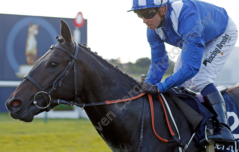 Elarqam-0006 
 ELARQAM (Jim Crowley) wins The Tattersalls Stakes Newmarket 28 Sep 2017 - Pic Steven Cargill / Racingfotos.com