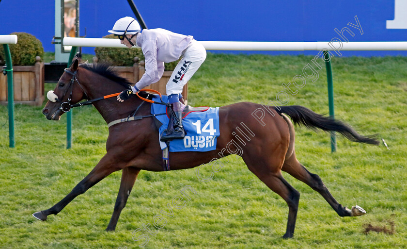 Run-For-Oscar-0001 
 RUN FOR OSCAR (David Egan) wins The Club Godolphin Cesarewitch Handicap
Newmarket 8 Oct 2022 - Pic Steven Cargill / Racingfotos.com