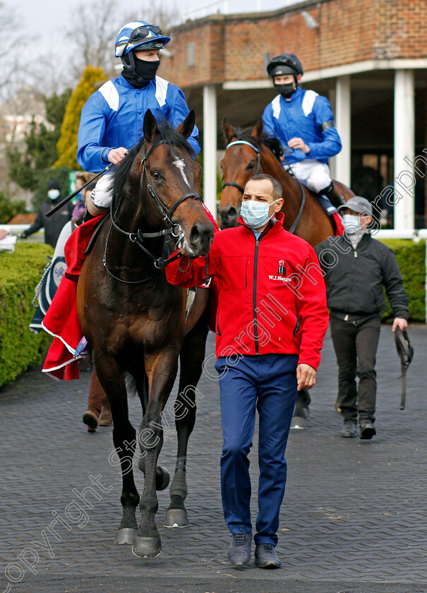 Al-Zaraqaan-0005 
 AL ZARAQAAN (Richard Kingscote) after The Ladbrokes Roseberry Handicap
Kempton 27 Mar 2021 - Pic Steven Cargill / Racingfotos.com