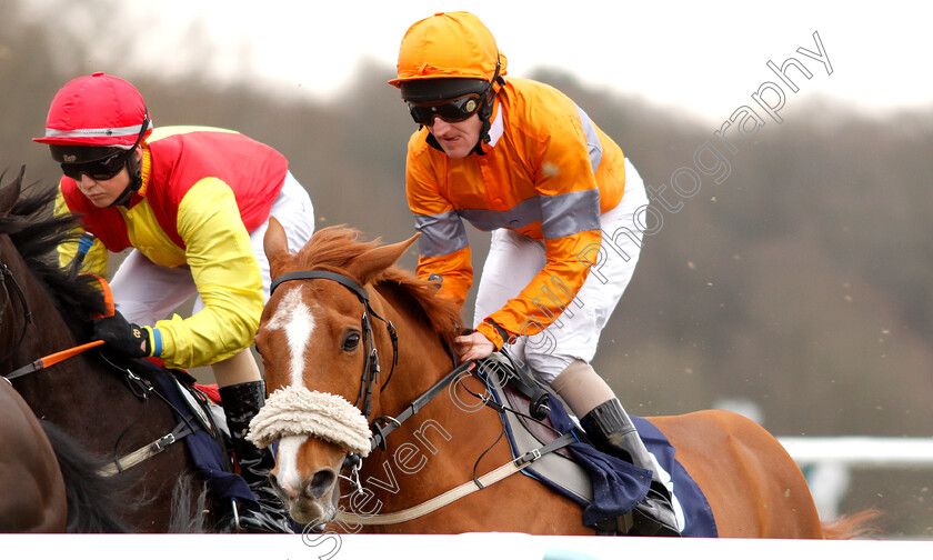 Coorg-0001 
 COORG (Liam Keniry)
Lingfield 23 Mar 2019 - Pic Steven Cargill / Racingfotos.com