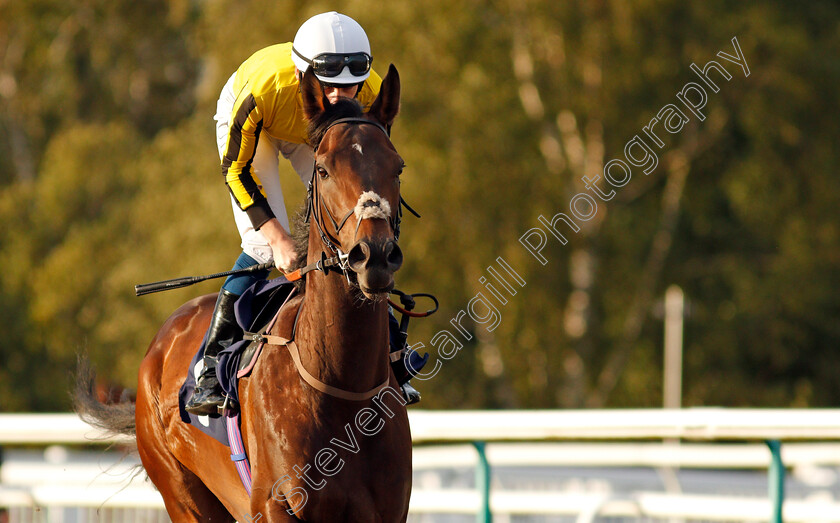 Nevendon-0001 
 NEVENDON (Callum Shepherd)
Lingfield 5 Aug 2020 - Pic Steven Cargill / Racingfotos.com