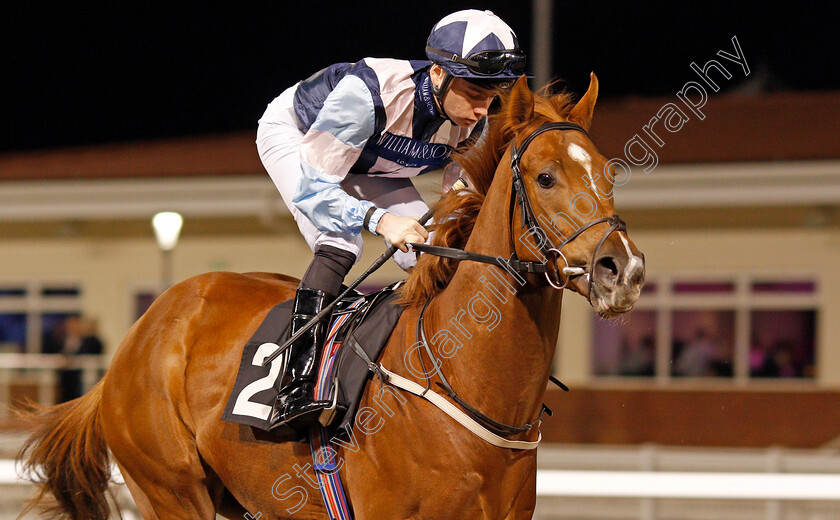 Choice-Encounter-0002 
 CHOICE ENCOUNTER (Callum Shepherd) Chelmsford 7 Dec 2017 - Pic Steven Cargill / Racingfotos.com