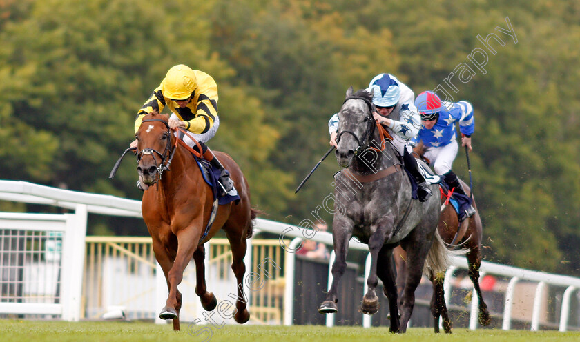 Wahaab-0002 
 WAHAAB (left, Timmy Murphy) beats CHAMPAGNE BOB (right) in The CSP Handicap Chepstow 6 Sep 2017 - Pic Steven Cargill / Racingfotos.com