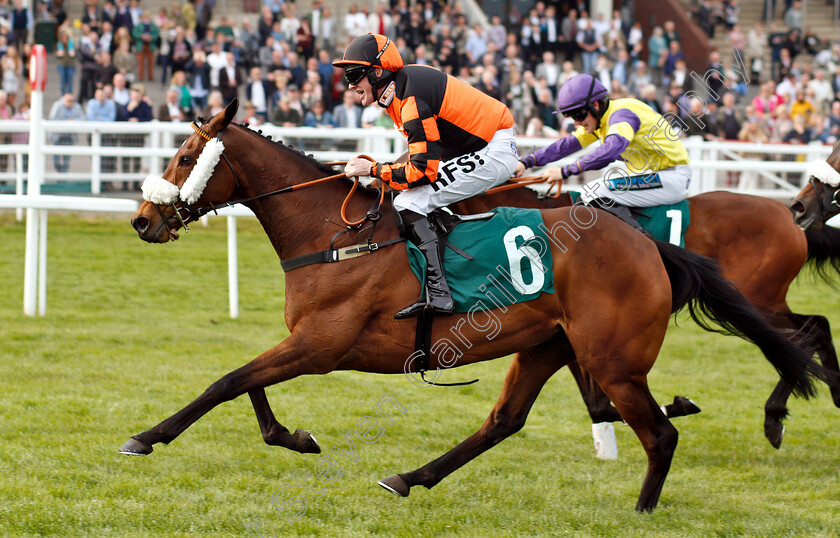 Northern-Beau-0005 
 NORTHERN BEAU (Richie McLernon) wins The Thoroughbred Breeders Association Mares Handicap Chase
Cheltenham 18 Apr 2019 - Pic Steven Cargill / Racingfotos.com