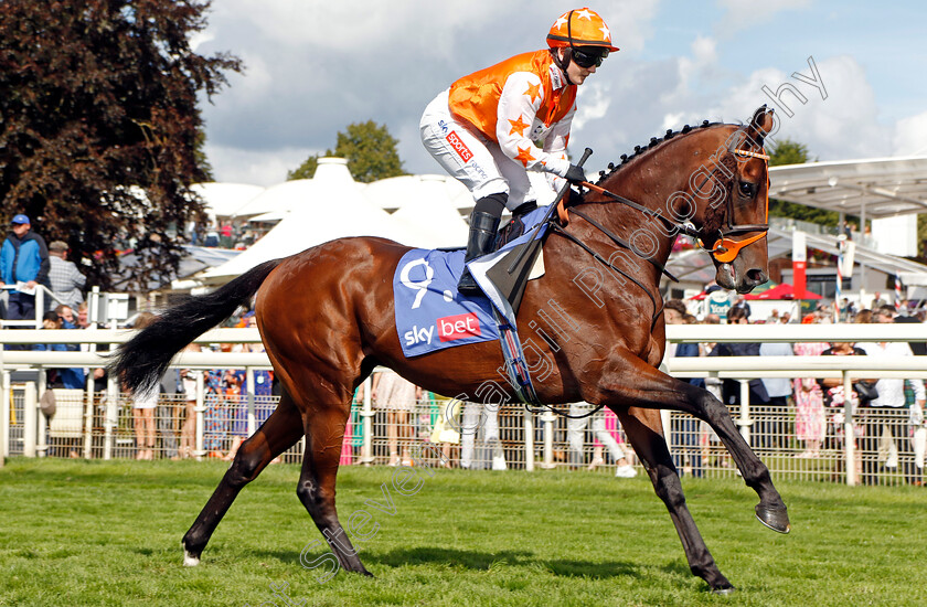 True-Legend-0001 
 TRUE LEGEND (Hollie Doyle)
York 26 Aug 2023 - Pic Steven Cargill / Racingfotos.com