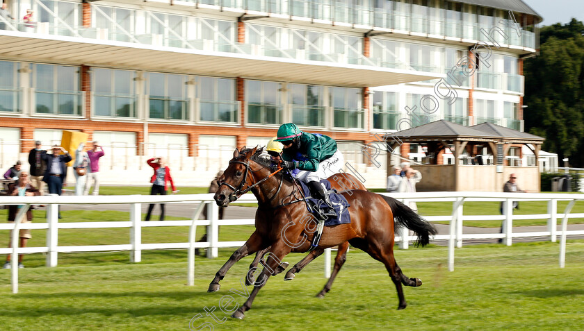 Poetic-Lilly-0001 
 POETIC LILLY (Josephine Gordon) wins The Read Andrew Balding On Betway Insider Handicap Div2
Lingfield 7 Sep 2020 - Pic Steven Cargill / Racingfotos.com