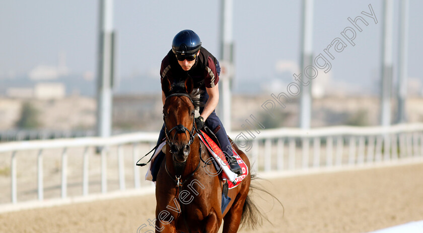 Lead-Artist-0001 
 LEAD ARTIST training for the Bahrain International Trophy
Kingdom of Bahrain 14 Nov 2024 - Pic Steven Cargill / Racingfotos.com