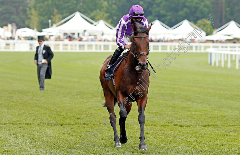 Cadamosto-0001 
 CADAMOSTO (Ryan Moore)
Ascot 17 Jun 2021 - Pic Steven Cargill / Racingfotos.com