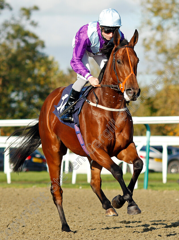 Seattle-Rock-0001 
 SEATTLE ROCK (Dane O'Neill)
Lingfield 28 Oct 2021 - Pic Steven Cargill / Raingfotos.com