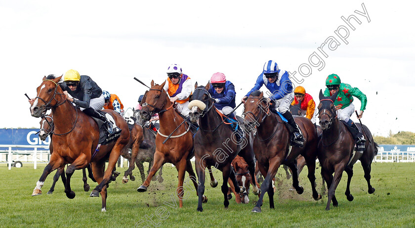 Swindler-0001 
 SWINDLER (Louis Steward) crosses the field and causes a faller (Magical Ride) to win The Fever-Tree Handicap but is allowed to keep the race in the stewards enquiry.
Ascot 7 Sep 2019 - Pic Steven Cargill / Racingfotos.com