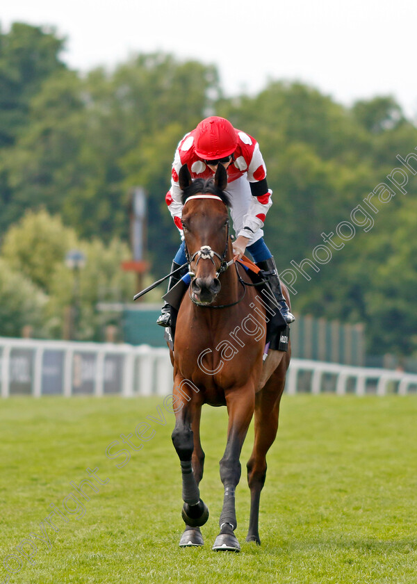 Seasett 
 SEASETT (Callum Shepherd)
Epsom 3 Jul 2022 - Pic Steven Cargill / Racingfotos.com