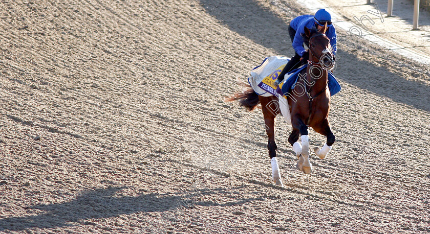 Thunder-Snow-0004 
 THUNDER SNOW exercising ahead of the The Breeders' Cup Classic
Churchill Downs USA 29 Oct 2018 - Pic Steven Cargill / Racingfotos.com