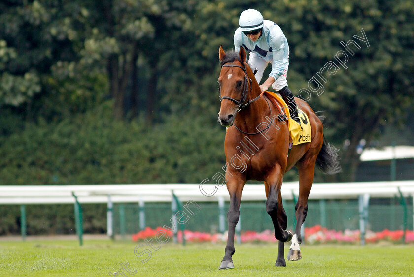 Starman-0001 
 STARMAN (Tom Marquand)
Haydock 4 Sep 2021 - Pic Steven Cargill / Racingfotos.com