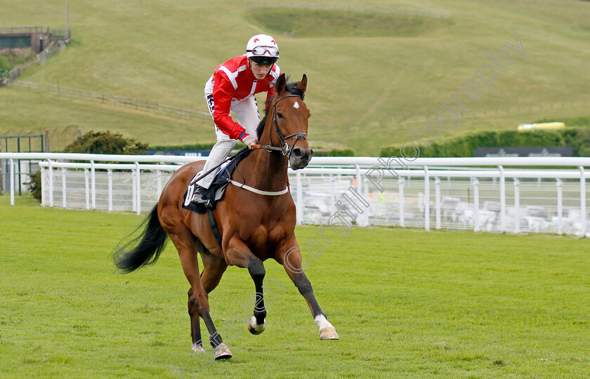 Present-Moment-0001 
 PRESENT MOMENT (David Egan)
Goodwood 20 May 2022 - Pic Steven Cargill / Racingfotos.com