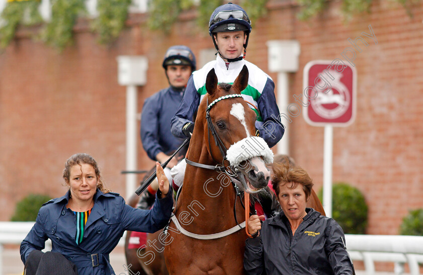 Dashing-Willoughby-0002 
 DASHING WILLOUGHBY (Oisin Murphy)
Goodwood 30 Jul 2019 - Pic Steven Cargill / Racingfotos.com