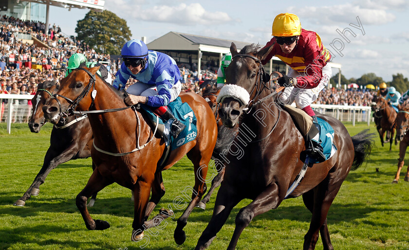 Tropical-Storm-0002 
 TROPICAL STORM (right, Oisin Murphy) beats MAGNUM FORCE (left) in The Julia Graves Roses Stakes
York 24 Aug 2024 - Pic Steven Cargill / Racingfotos.com