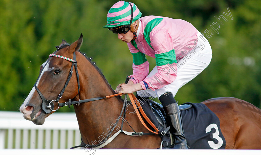 Prince-Nabeel 
 PRINCE NABEEL (Sam James)
Chelmsford 7 Jun 2022 - Pic Steven Cargill / Racingfotos.com