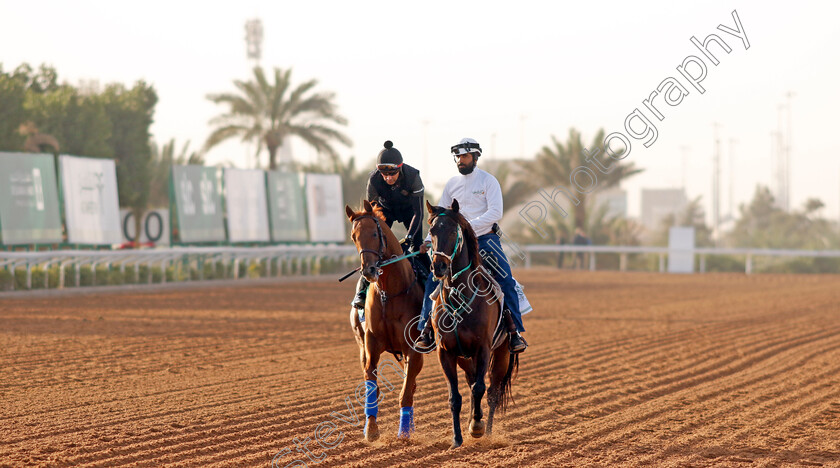 Taiba-0002 
 TAIBA training for the Saudi Cup
King Abdulaziz Racecourse, Kingdom Of Saudi Arabia, 23 Feb 2023 - Pic Steven Cargill / Racingfotos.com