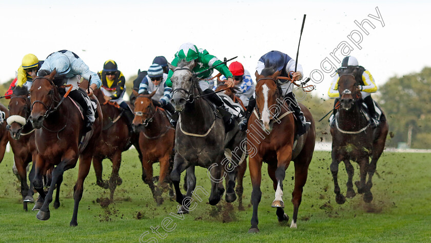 Rohaan-0004 
 ROHAAN (Neil Callan) beats MITROSONFIRE (centre) and ENGLISH OAK (left) in The Ascot Iron Stand Membership Handicap
Ascot 6 Oct 2023 - Pic Steven Cargill / Racingfotos.com