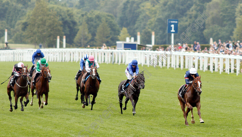 Flashcard-0002 
 FLASHCARD (Oisin Murphy) wins The Porsche Handicap
Ascot 27 Jul 2019 - Pic Steven Cargill / Racingfotos.com