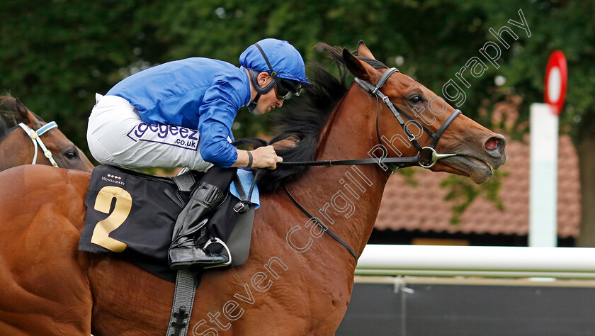 Noble-Style-0010 
 NOBLE STYLE (David Probert) wins The Watch Live On Racing TV British EBF Novice Stakes
Newmarket 29 Jul 2022 - Pic Steven Cargill / Racingfotos.com