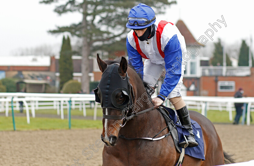 Acquisitor-0001 
 ACQUISITOR (Richard Kingscote)
Lingfield 6 Feb 2021 - Pic Steven Cargill / Racingfotos.com