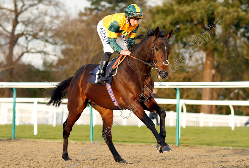 Allocator-0001 
 ALLOCATOR (Ryan Moore)
Lingfield 18 Jan 2019 - Pic Steven Cargill / Racingfotos.com