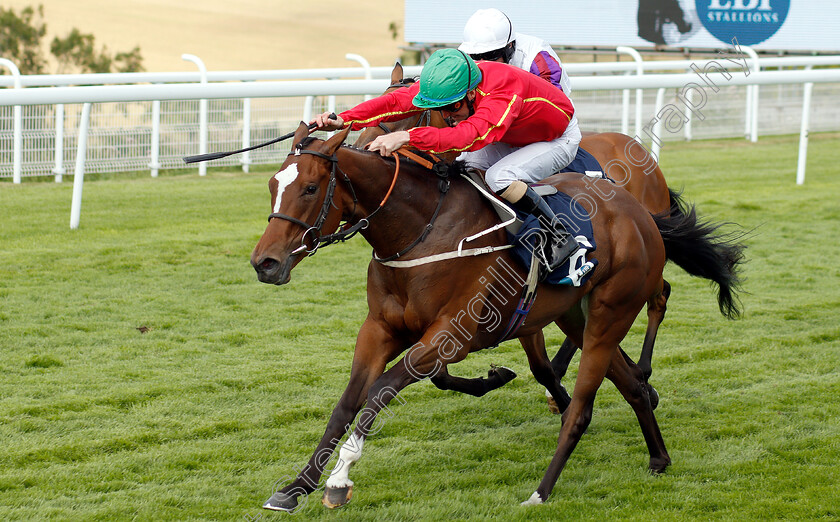 Mrs-Bouquet-0002 
 MRS BOUQUET (Joe Fanning) wins The EBF Alice Keppel Fillies Conditions Stakes
Goodwood 31 Jul 2019 - Pic Steven Cargill / Racingfotos.com