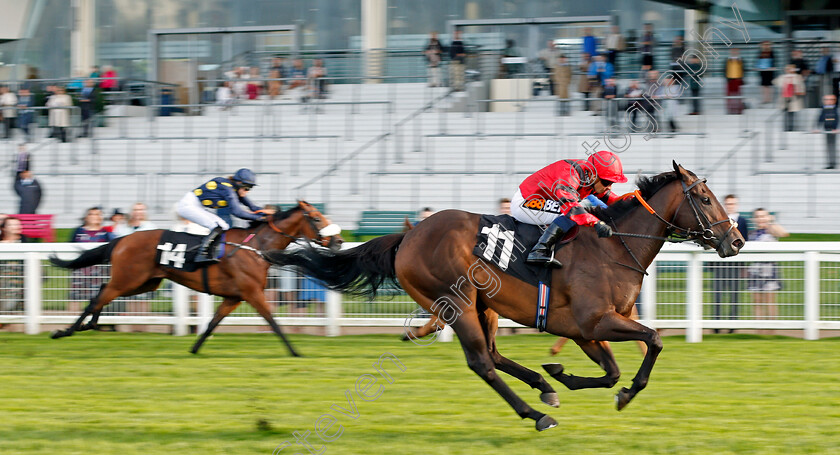 Mullionheir-0002 
 MULLIONHEIR (Silvestre De Sousa) wins The Bibendum Wine Handicap Ascot 8 Sep 2017 - Pic Steven Cargill / Racingfotos.com