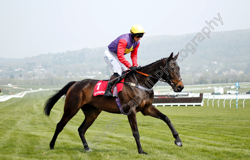 Dashel-Drasher-0002 
 DASHEL DRASHER (Matt Griffiths) winner of The Citipost Novices Hurdle
Cheltenham 17 Apr 2019 - Pic Steven Cargill / Racingfotos.com